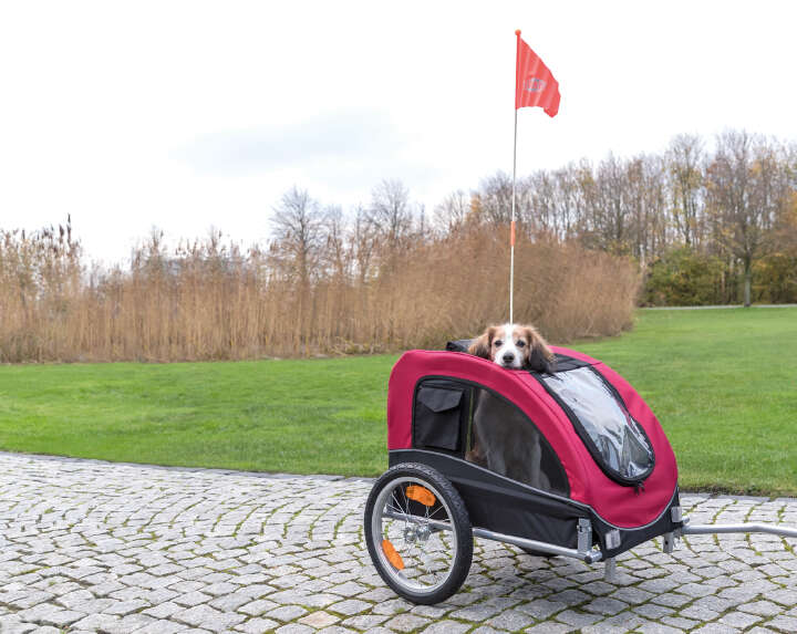 TRIXIE Fahrrad-Anhänger für Hunde